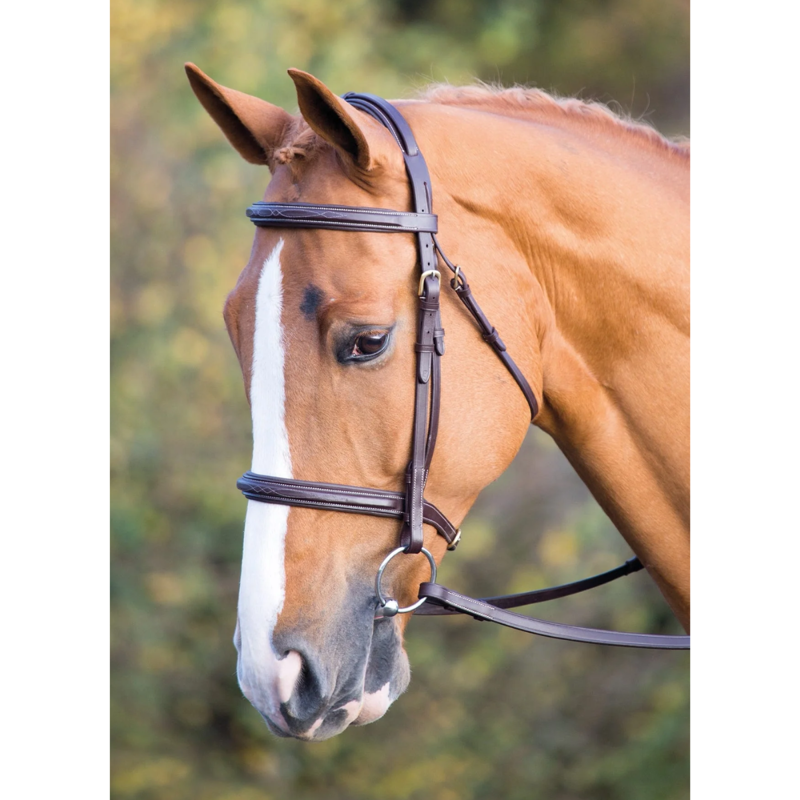 Shires Salisbury Fairford Bridle - Australian Nut