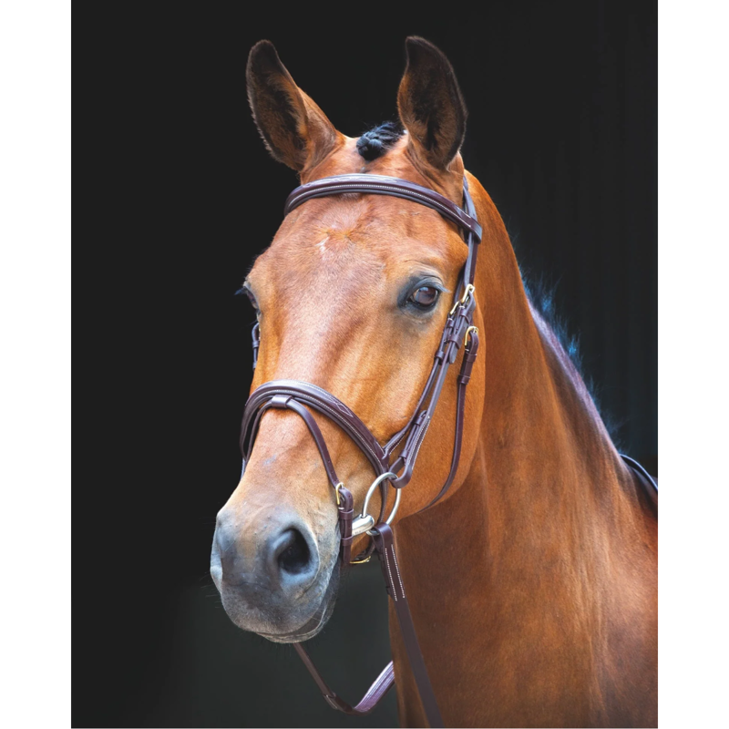 Shires Salisbury Bodenham Bridle - Australian Nut