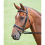 Shires Salisbury Bodenham Bridle - Black