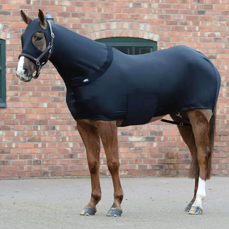 WeatherBeeta Stretch Rug - Black