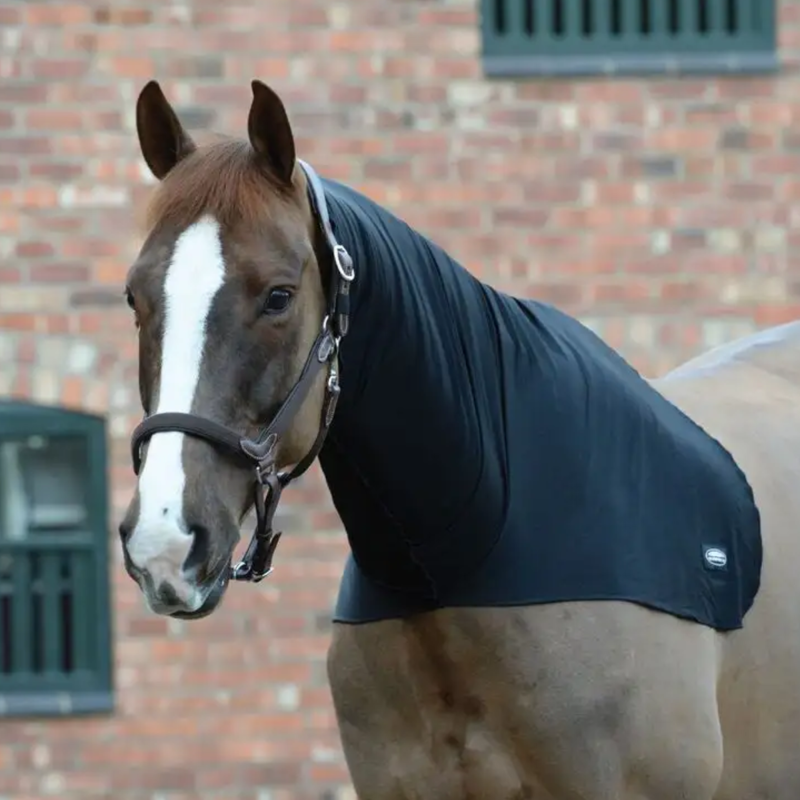 WeatherBeeta Stretch Neck Rug - Black