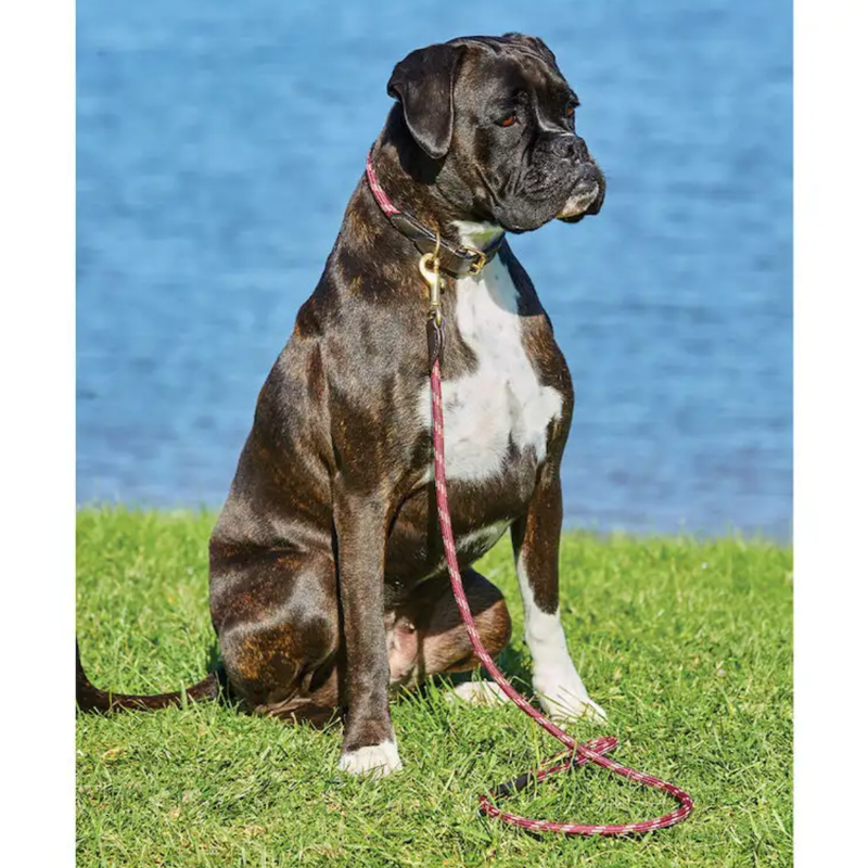 WeatherBeeta Rope Leather Dog Lead - Burgundy/Brown-1