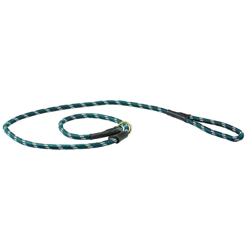 WeatherBeeta Rope Leather Slip Dog Lead - Hunter Green/Brown