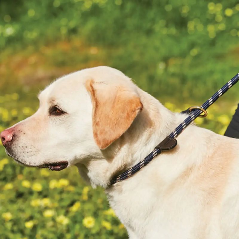 WeatherBeeta Rope Leather Slip Dog Lead - Navy/Brown-1