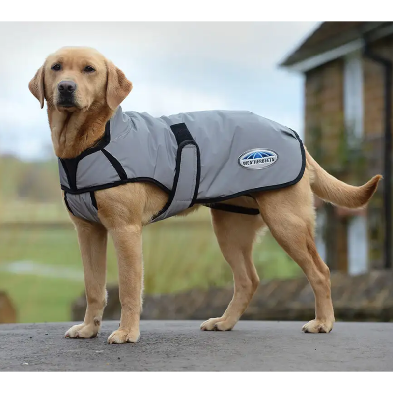 WeatherBeeta ComFiTec Reflective Dog Coat Medium - Silver-1