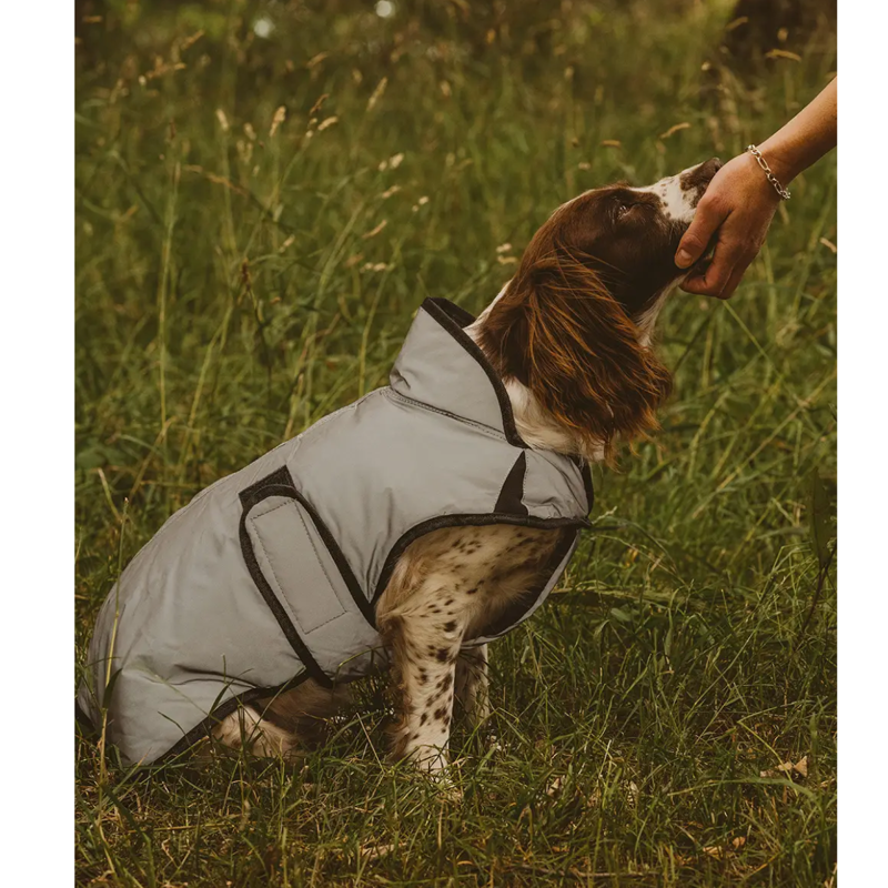 WeatherBeeta ComFiTec Reflective Dog Coat Medium - Silver-4
