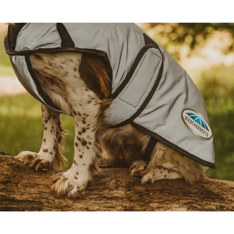 WeatherBeeta ComFiTec Reflective Dog Coat Medium - Silver-2