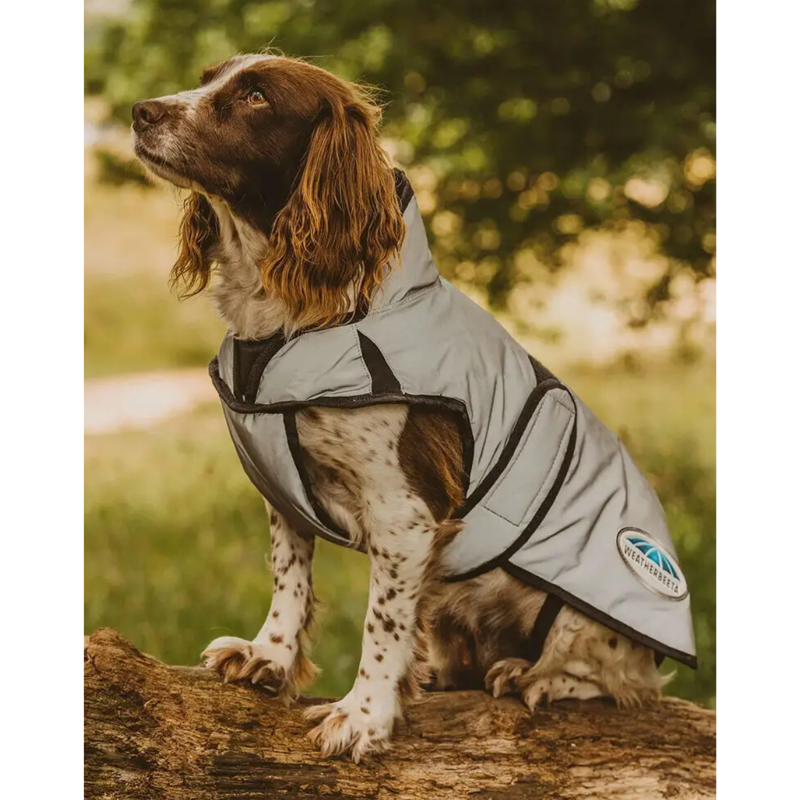 WeatherBeeta ComFiTec Reflective Dog Coat Medium - Silver-6