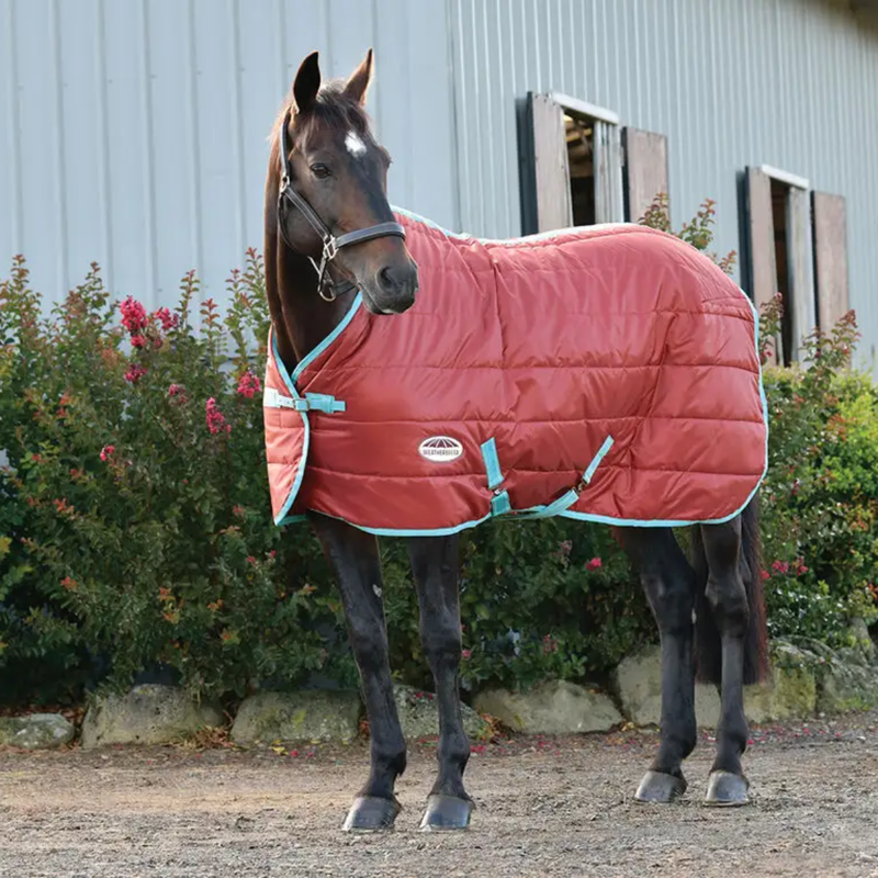 WeatherBeeta ComFiTec 210D Channel Quilt Standard Neck Medium/Lite Rug - Red/Blue/Beige-1