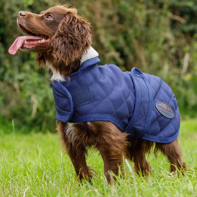 WeatherBeeta ComFiTec Deluxe Diamond Quilt Dog Coat - Navy-1