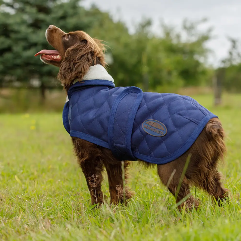 WeatherBeeta ComFiTec Deluxe Diamond Quilt Dog Coat - Navy-2