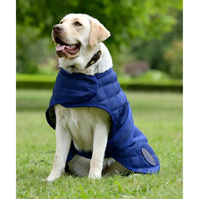 WeatherBeeta ComFiTec Deluxe Diamond Quilt Dog Coat - Navy-3
