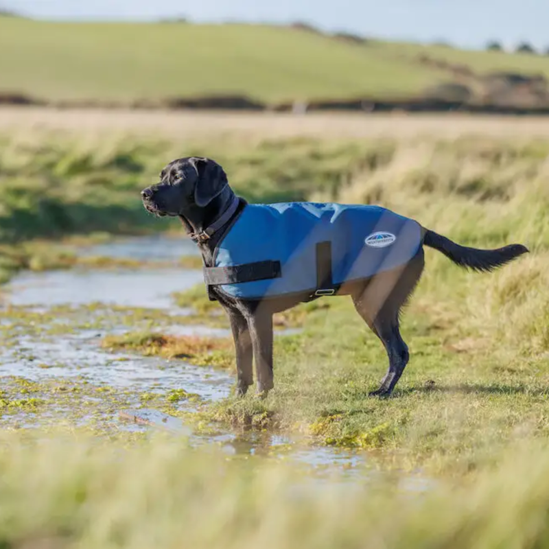 WeatherBeeta ComFiTec Classic Dog Coat - Dark Blue-1