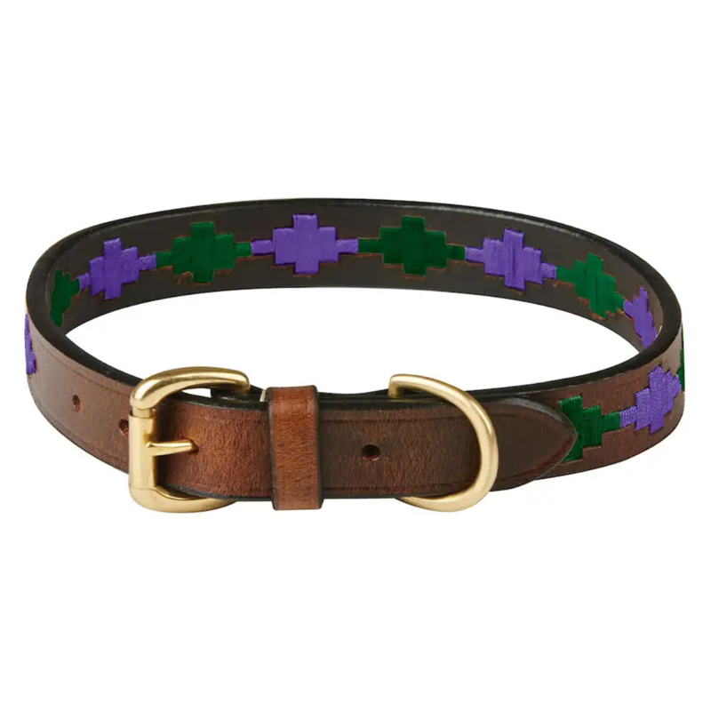 WeatherBeeta Polo Leather Dog Collar - Beaufort Brown/Purple/Teal