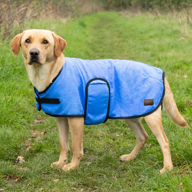 Benji And Flo Cooling Dog Coat - Blue-2