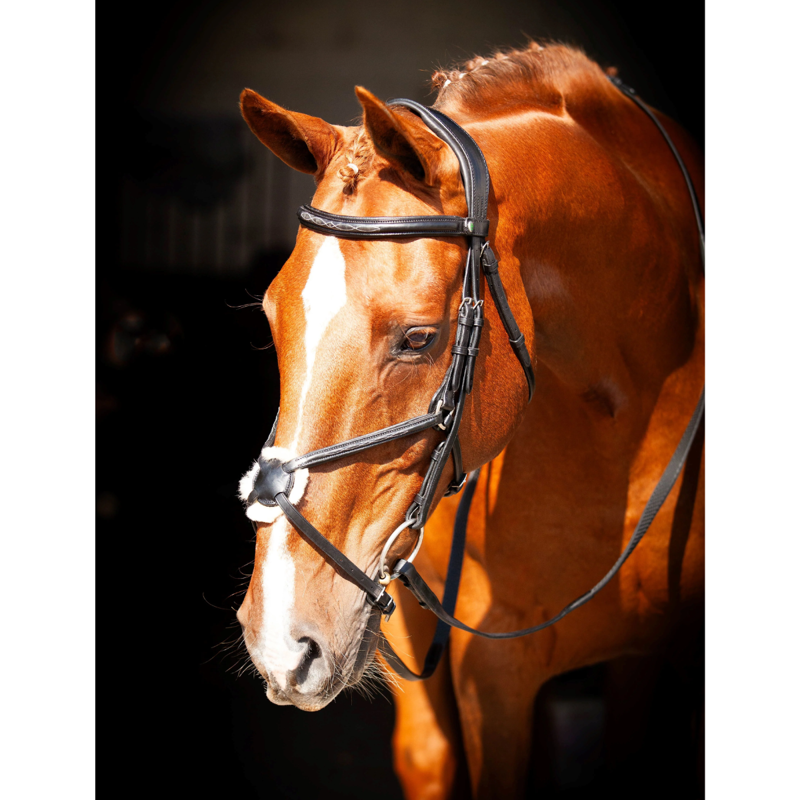 EcoRider Ultra Comfort Galway v 2.0 Bridle - Black-1