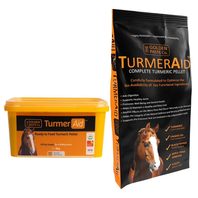 The Golden Paste Company TurmerAid