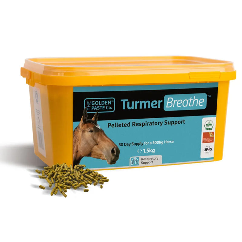 The Golden Paste Company TurmerBreathe - 1.5kg