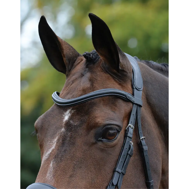 Collegiate ComFiTec Vogue Anatomical Bridle - Black-1