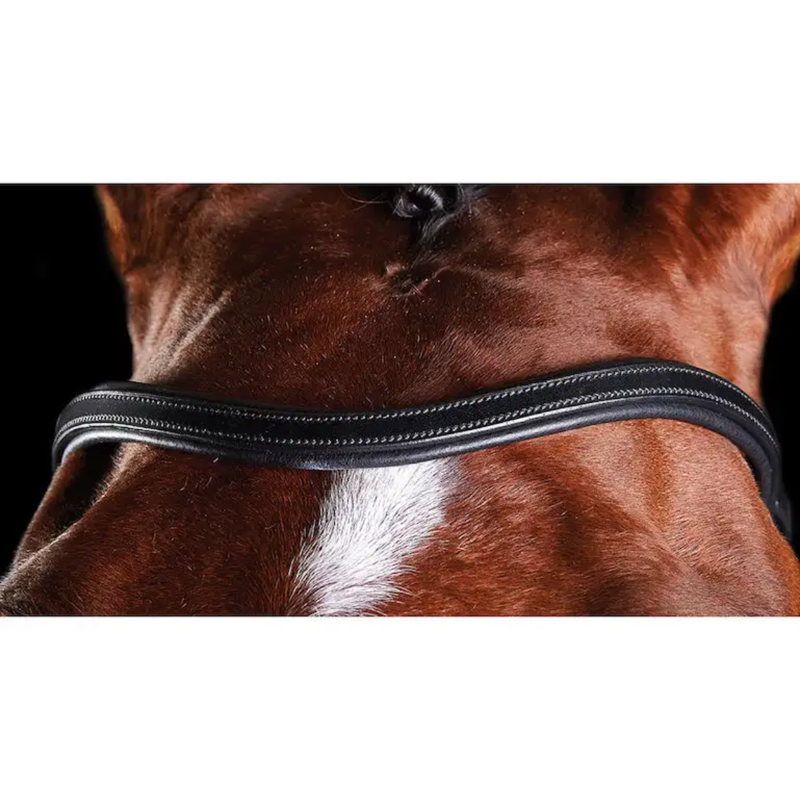 Collegiate ComFiTec Training Bridle - Black-2