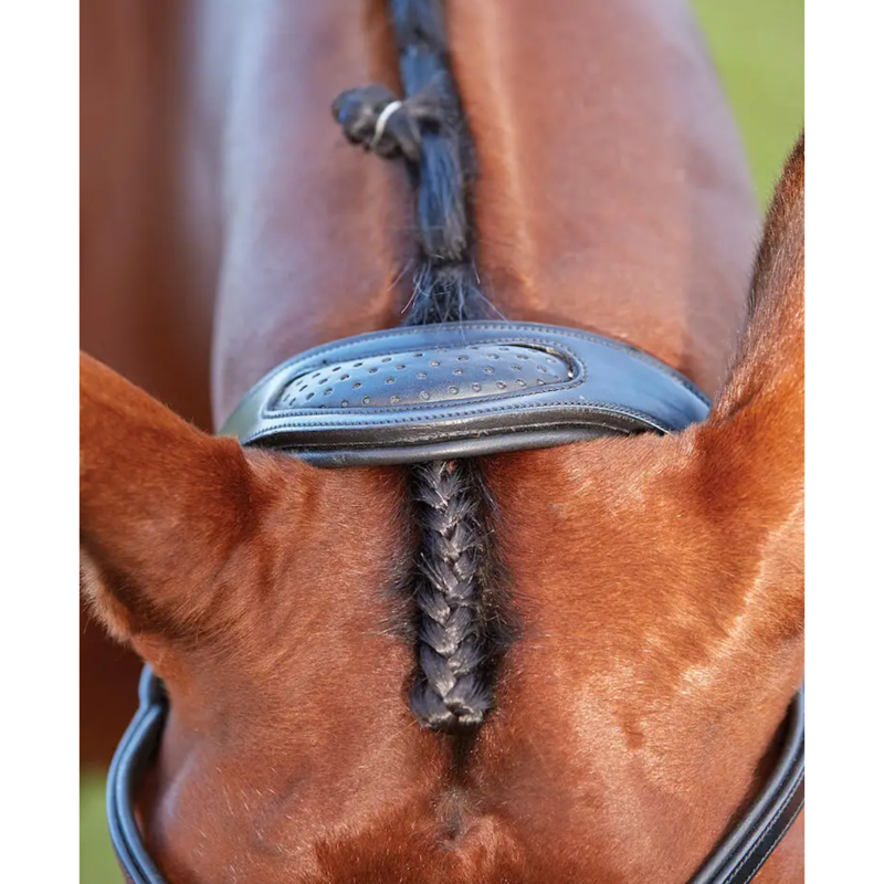 Collegiate ComFiTec Training Bridle - Black-3