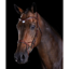 Collegiate ComFiTec Training Bridle - Brown