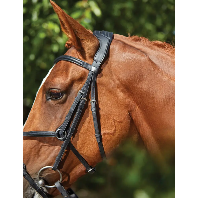 Collegiate ComFiTec Grackle Bridle - Black-1