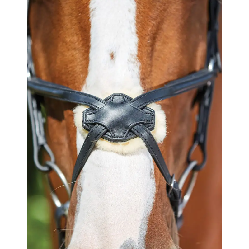 Collegiate ComFiTec Grackle Bridle - Black-3