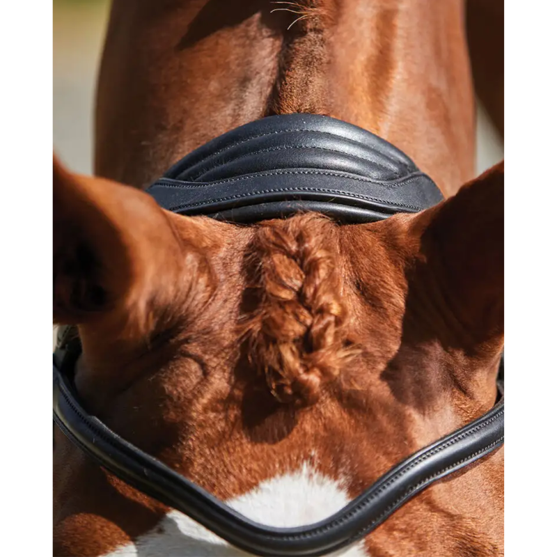 Collegiate ComFiTec Grackle Bridle - Black-4