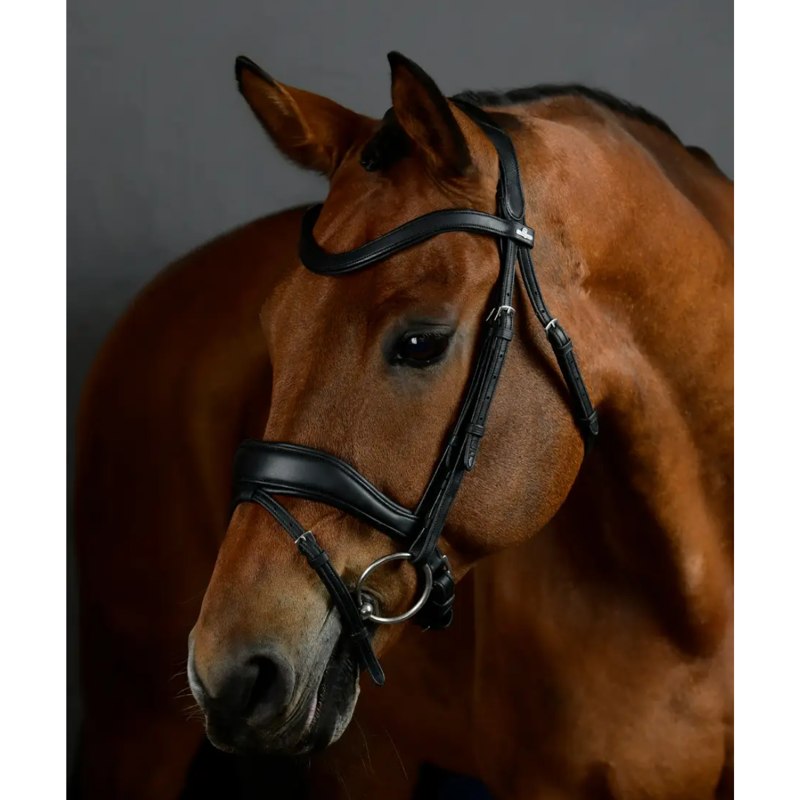 Collegiate ComFiTec Opulux Padded Dressage Bridle - Black-1