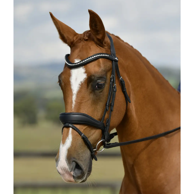 Collegiate ComFiTec Opulux Padded Dressage Bridle - Black-2