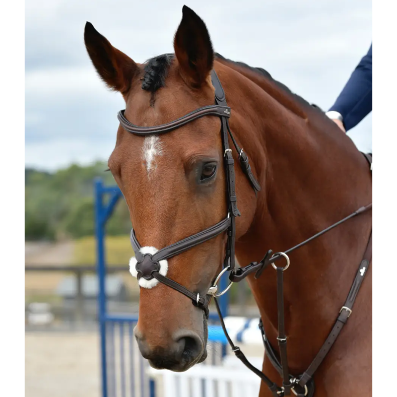Collegiate ComFiTec Opulux Plain Padded Grackle Bridle - Dark Brown-2