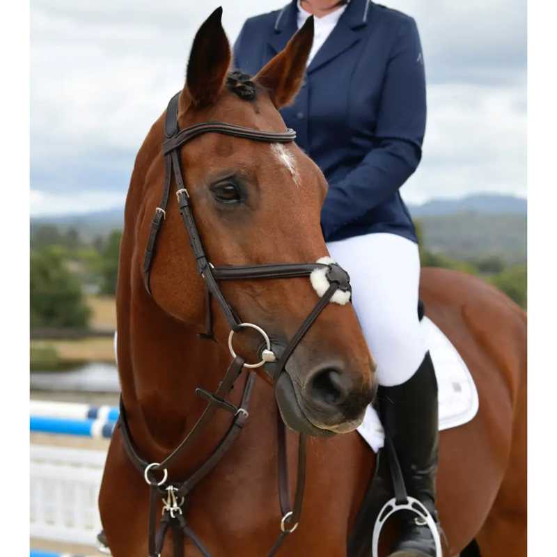 Collegiate ComFiTec Opulux Plain Padded Grackle Bridle - Dark Brown-1