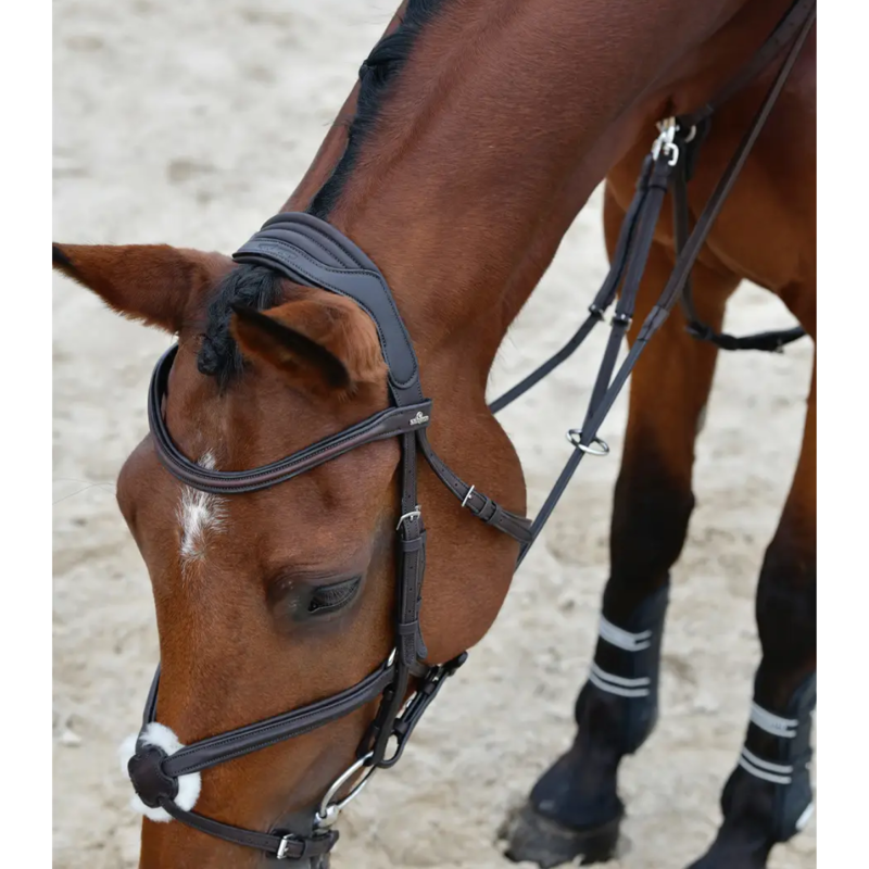 Collegiate ComFiTec Opulux Plain Padded Grackle Bridle - Dark Brown-3