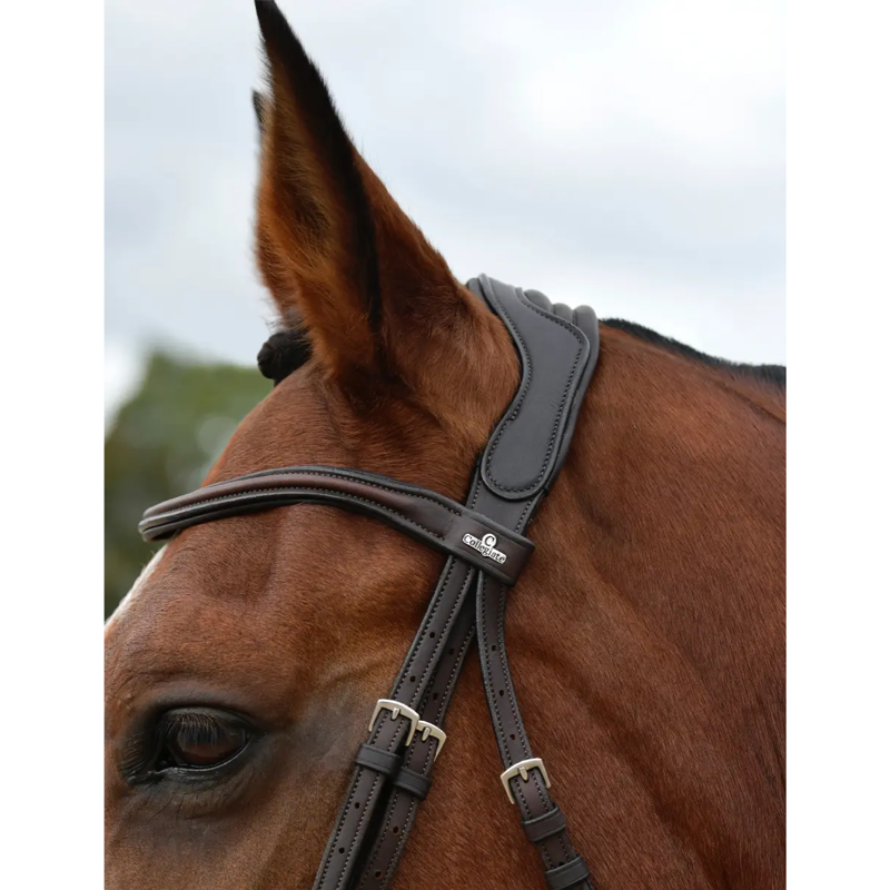 Collegiate ComFiTec Opulux Plain Padded Grackle Bridle - Dark Brown-4