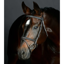 Collegiate ComFiTec Opulux Fancy Stitch Padded Hanoverian Bridle - Dark Brown