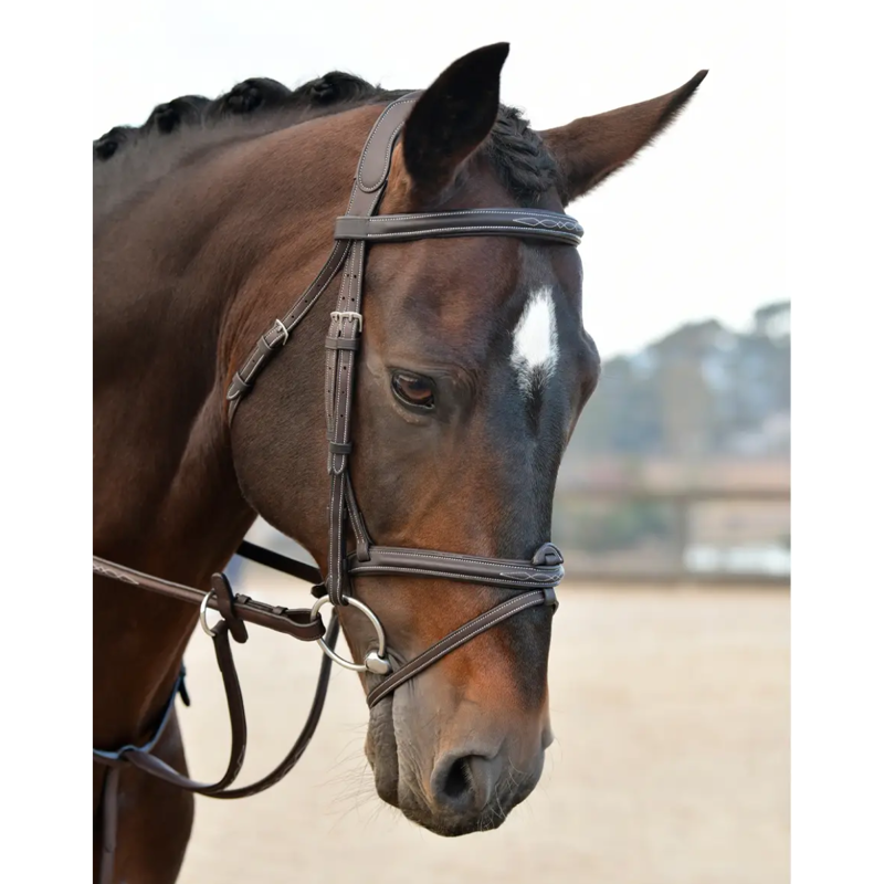 Collegiate ComFiTec Opulux Fancy Stitch Padded Hanoverian Bridle - Dark Brown-1