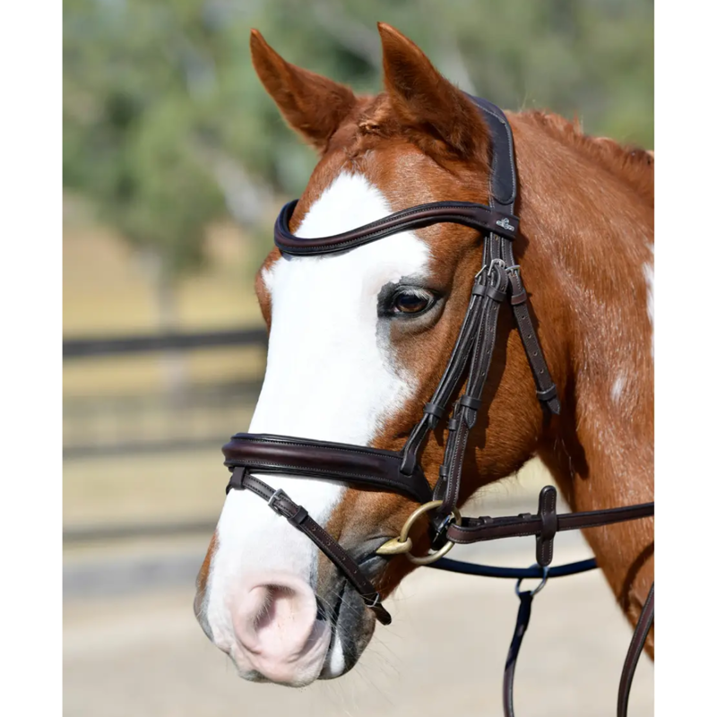 Collegiate ComFiTec Opulux Plain Padded Hanoverian Flash Bridle - Dark Brown-1