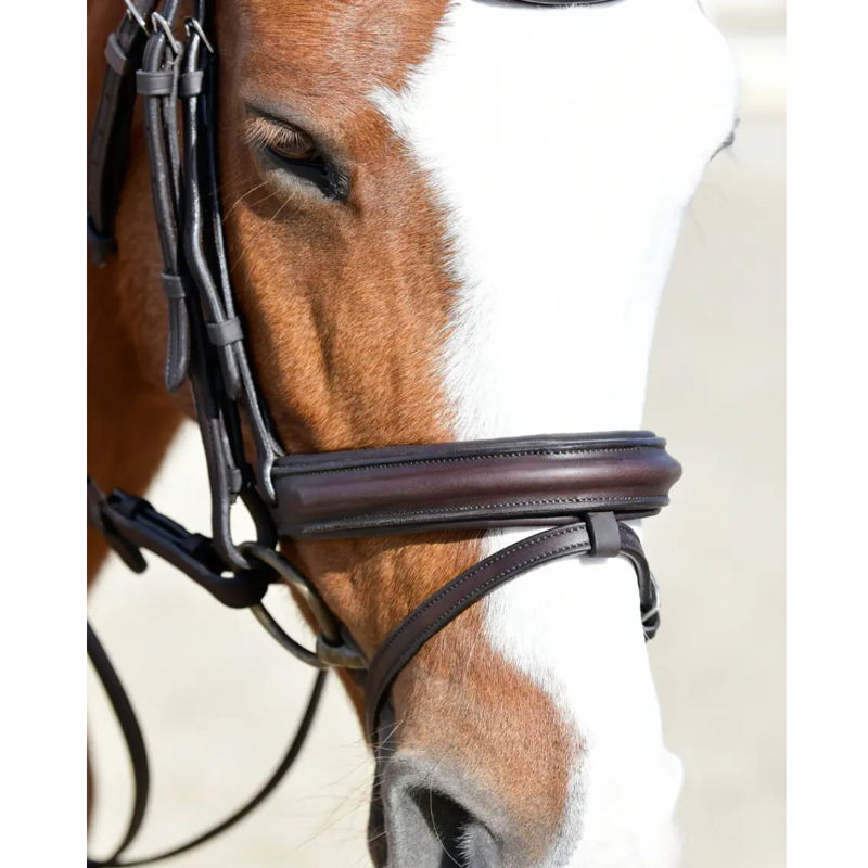 Collegiate ComFiTec Opulux Plain Padded Hanoverian Flash Bridle - Dark Brown-2