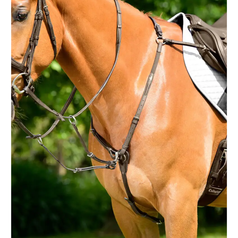 Collegiate ComFiTec Opulux 3-Point Padded Raised Breastplate With Running Attachment - Dark Brown