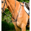 Collegiate ComFiTec Opulux 3-Point Padded Raised Breastplate With Running Attachment - Dark Brown