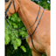 Collegiate ComFiTec Opulux Plain Flat Running Martingale - Black