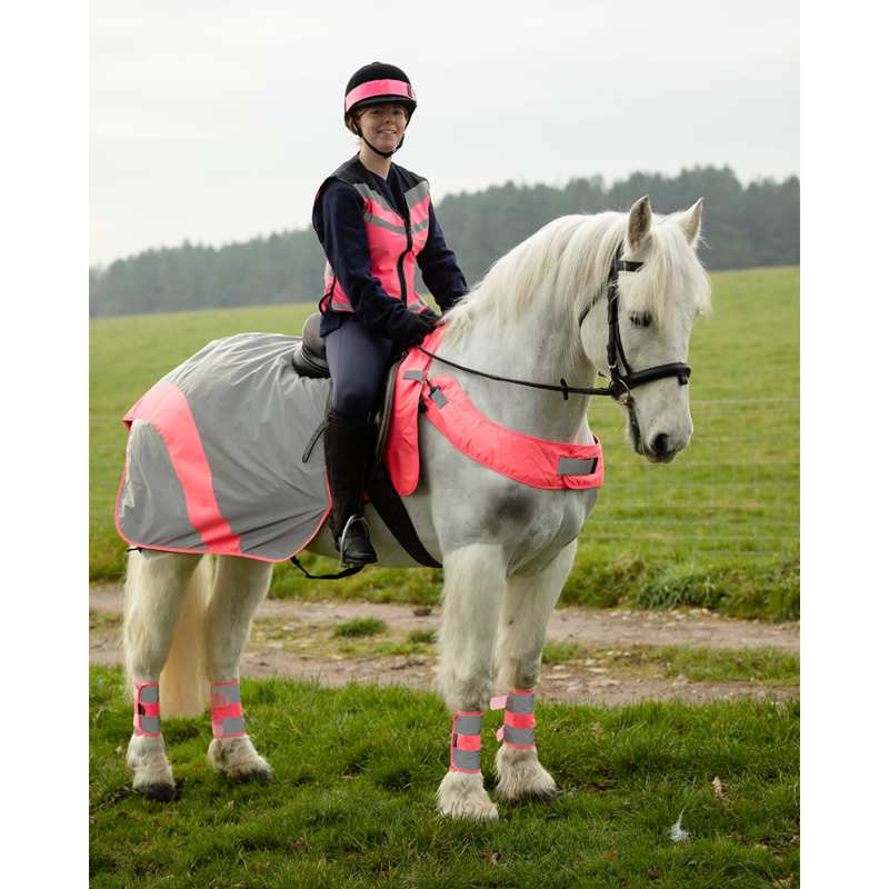 Equisafety Mercury Wrap Around Rug - Pink-1