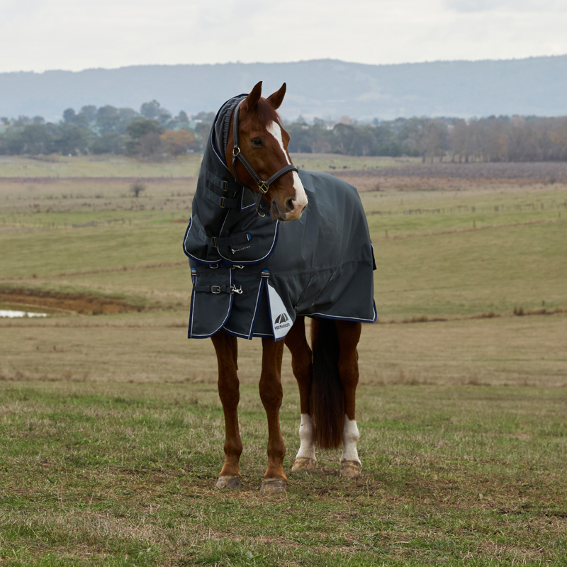 WeatherBeeta ComfiTec Ultra Turnout Detach-A-Neck 220g Rug - Charcoal-1