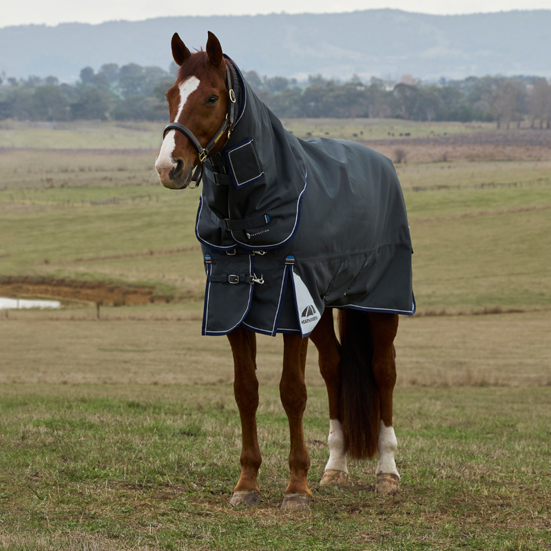 WeatherBeeta ComfiTec Ultra Turnout Detach-A-Neck 220g Rug - Charcoal
