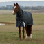 WeatherBeeta ComfiTec Ultra Turnout Detach-A-Neck 220g Rug - Charcoal