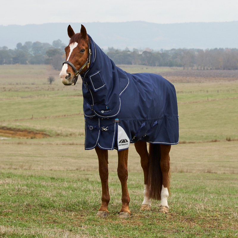 WeatherBeeta ComfiTec Ultra Turnout Detach-A-Neck 220g Rug - Navy