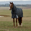 WeatherBeeta ComfiTec Ultra Turnout Detach-A-Neck 100g Rug  - Charcoal