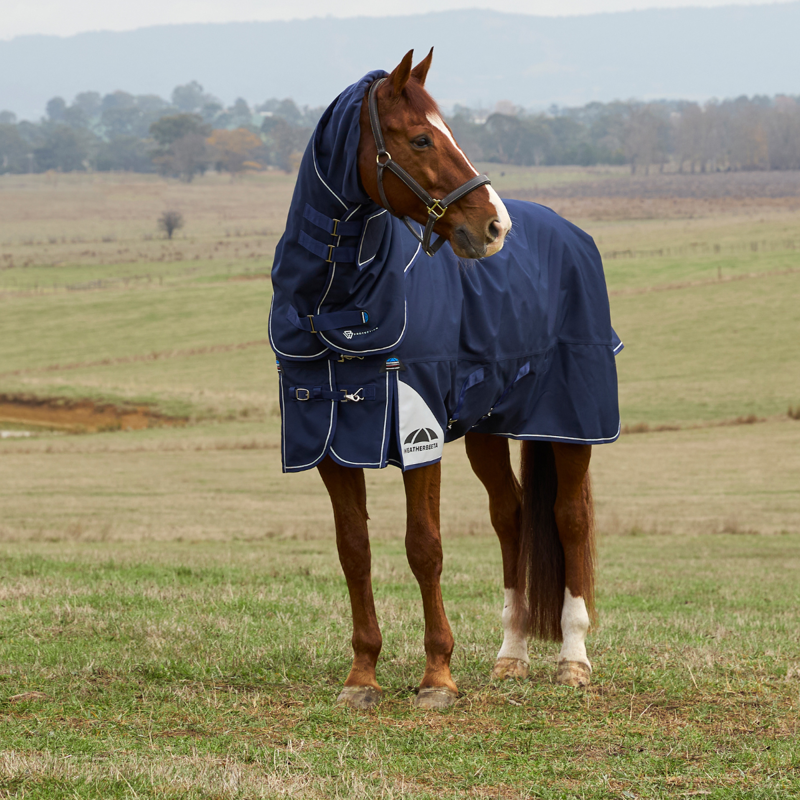 WeatherBeeta ComfiTec Ultra Turnout Detach-A-Neck 100g Rug - Navy-1