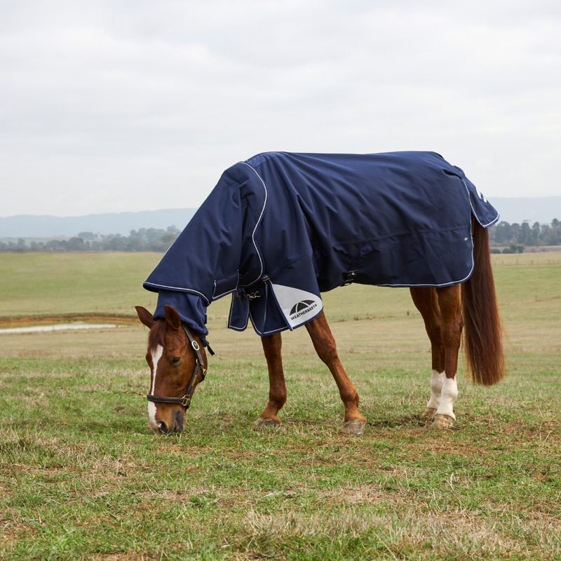 WeatherBeeta ComfiTec Ultra Turnout Detach-A-Neck 100g Rug - Navy-2